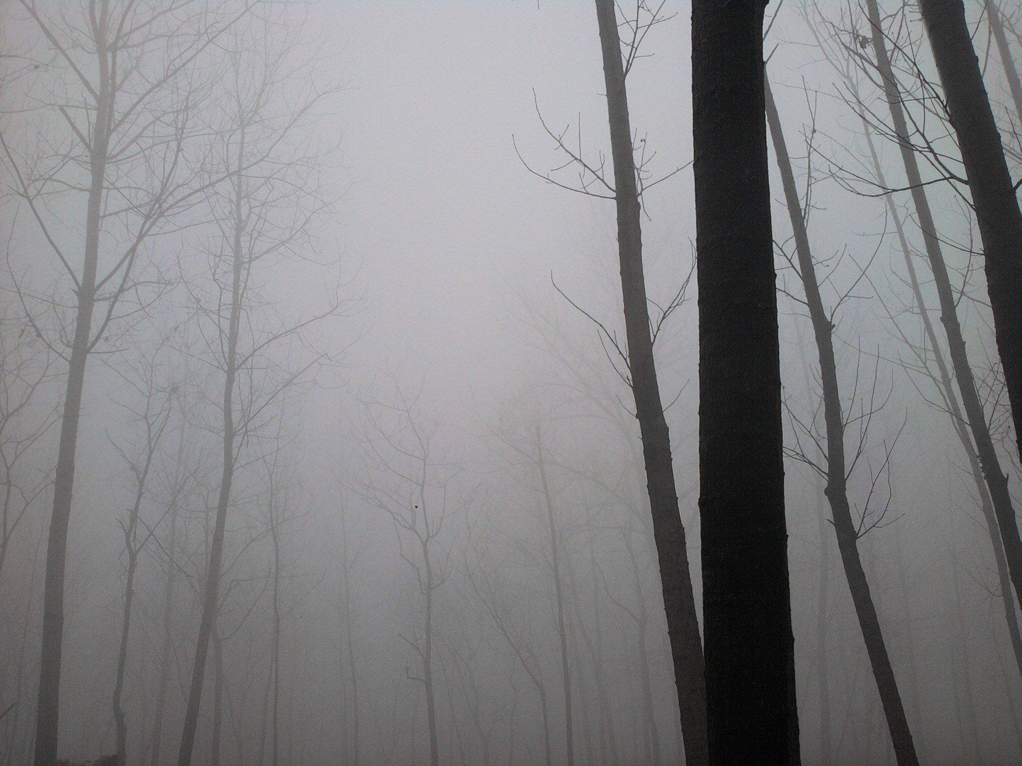 山间·云雾|摄影|风光|DUOQI多奇 - 原创作品 - 站酷 (ZCOOL)