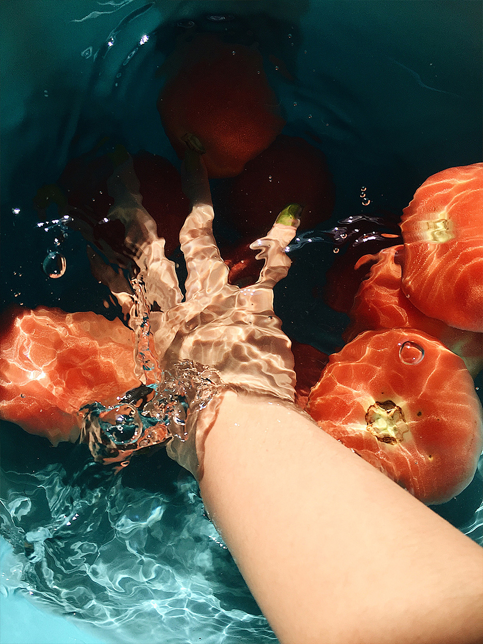 夏天的水和西红柿