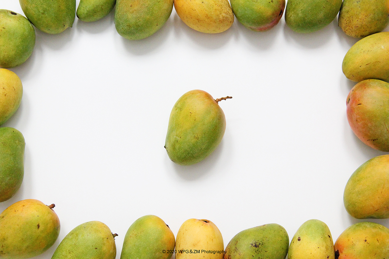 《 HELLO · JULY 》