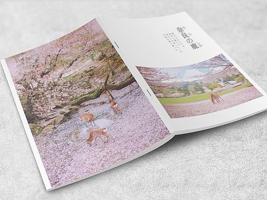日系画册/梅花鹿/日本