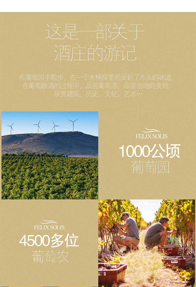 白葡萄酒 红酒设计电商天猫详情页（图ZNjEzNDM0NjA=） - 电商 - 站酷设计师LeeAkun原创素材 - 站酷ZCOOL