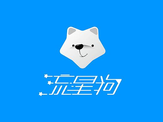 流星狗APP視覺設(shè)計(jì)規(guī)范（個人主頁-ZMzA3MjA4ODQ=） - 圖標(biāo) - 站酷設(shè)計(jì)師gary3953原創(chuàng)素材 - 站酷ZCOOL