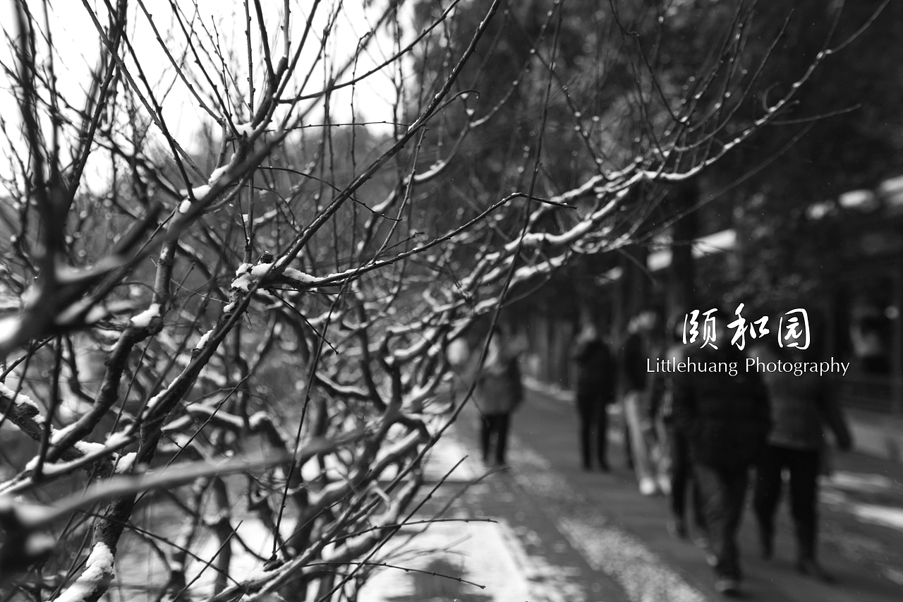 咦。。。和园（图ZODEzMTc0OA==） - 风光摄影 - 站酷设计师littlehuang原创素材 - 站酷ZCOOL