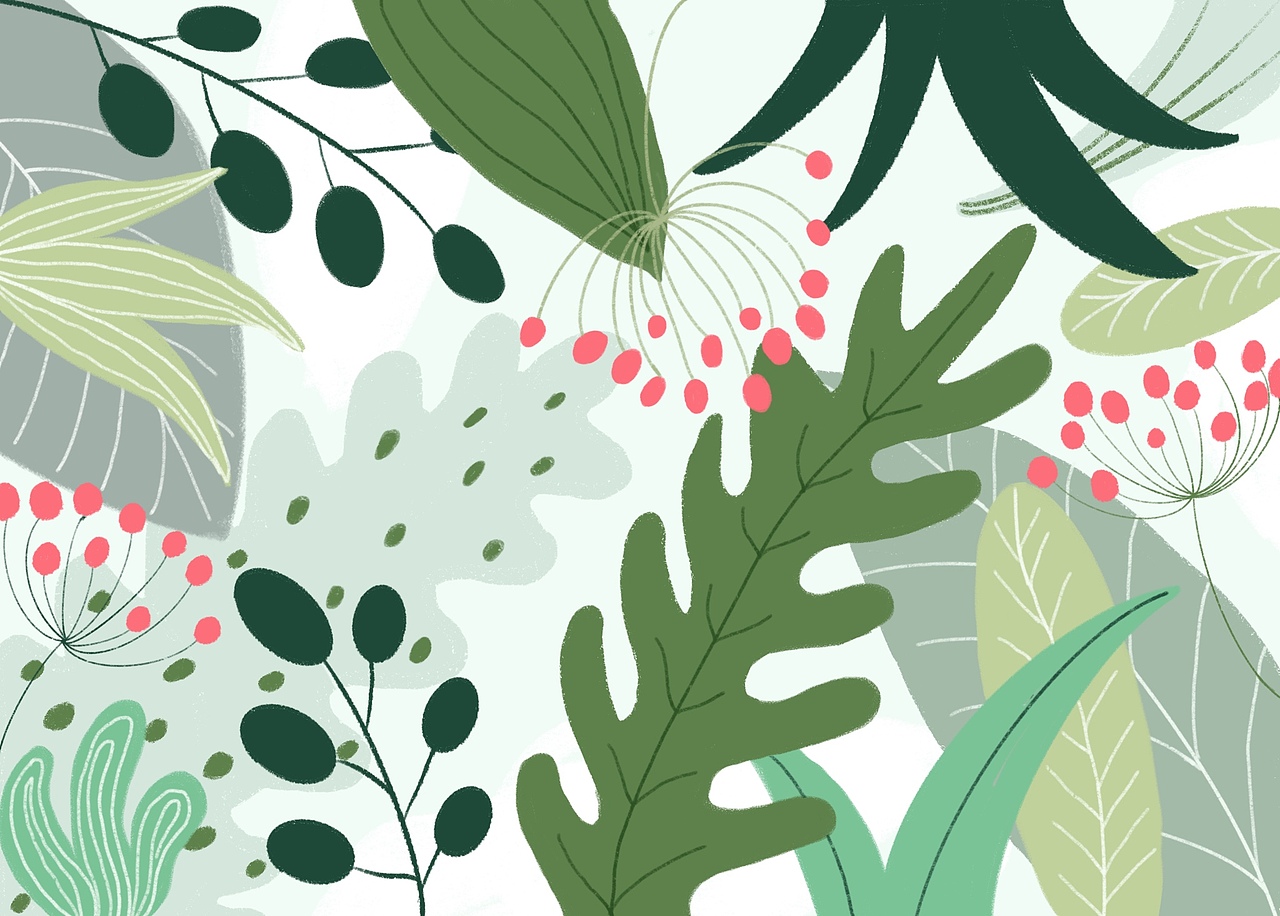 绿植～|插画|创作习作|alan_hhh_原创作品-站酷zcool