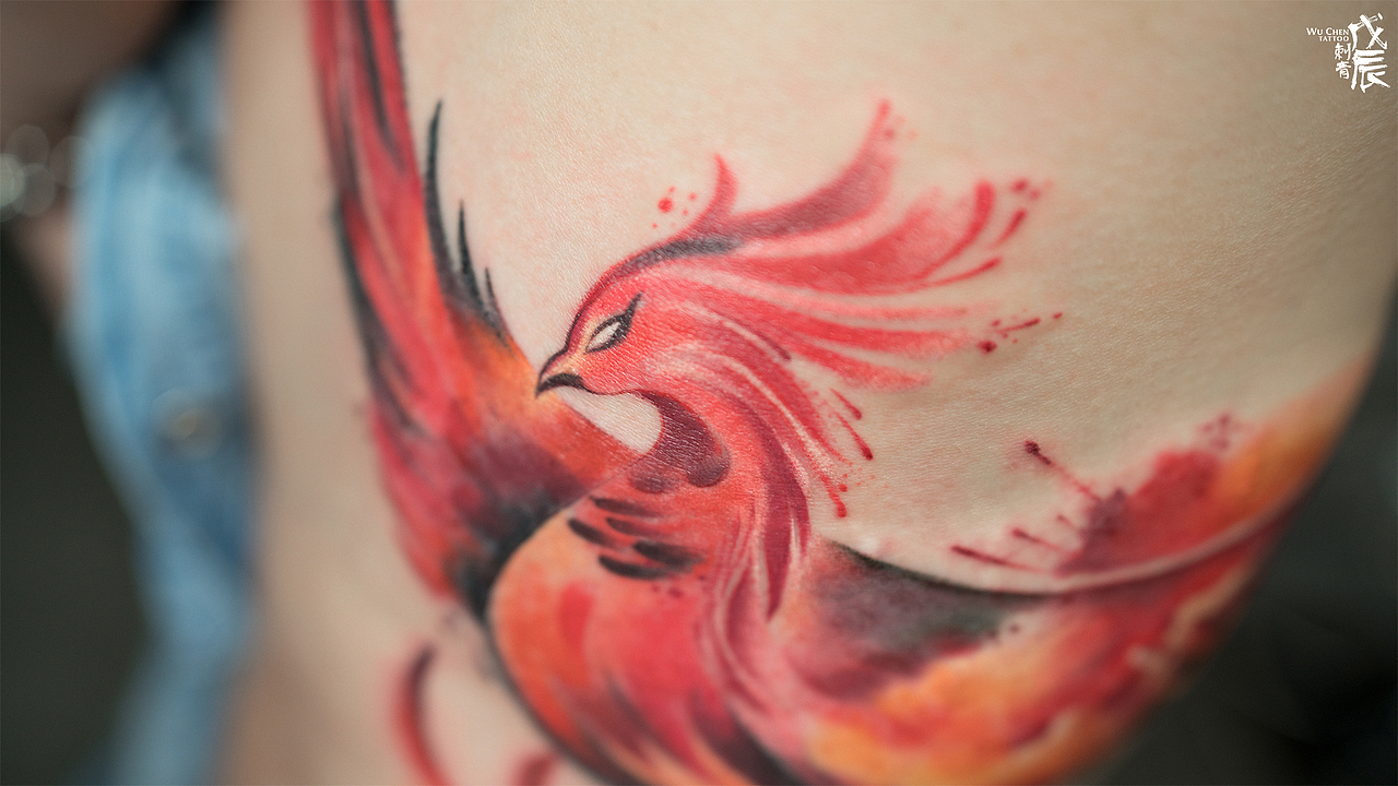 凤凰刺在粉红身