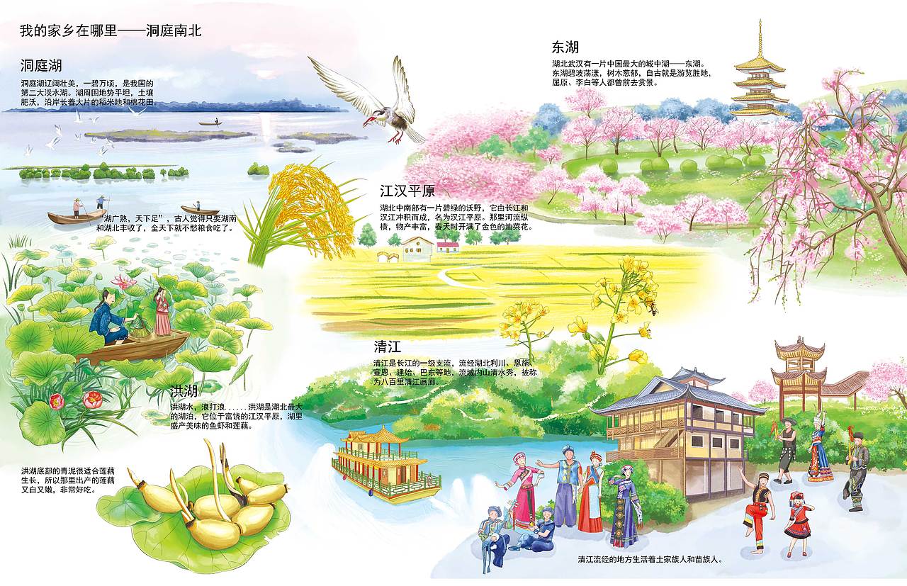 鱼米之乡-洞庭湖|插画|创作习作|觅米卜卜 - 原创作品 - 站酷 (zcool)
