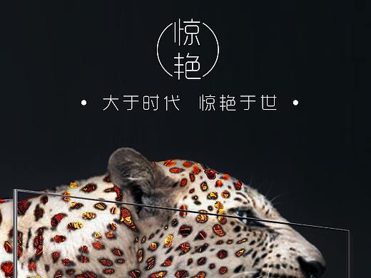 电视机详情页