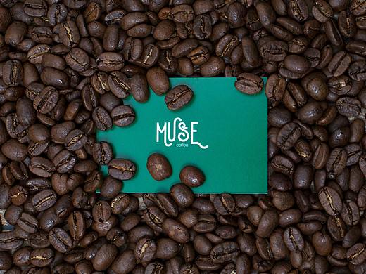 MUSE COFFEE|品牌设计