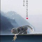 是光怪啊的头像