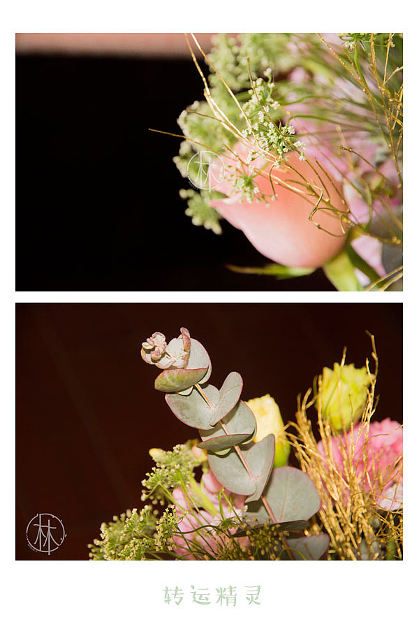 【二月静物拍摄】春之转运精灵（图ZMTA3NDU5Mzg0） - 产品摄影 - 站酷设计师咖不哩原创素材 - 站酷ZCOOL