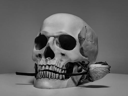 叼玫瑰的骷髅头