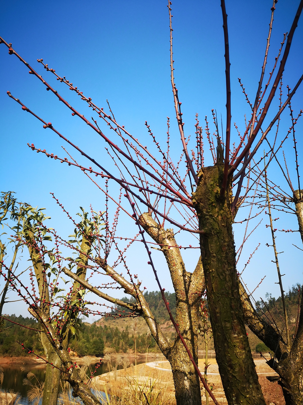 红帽子南川黎香湖皮划艇基地元旦首划（图ZMTQyODYyMTI4） - 风光摄影 - 站酷设计师左I可原创素材 - 站酷ZCOOL