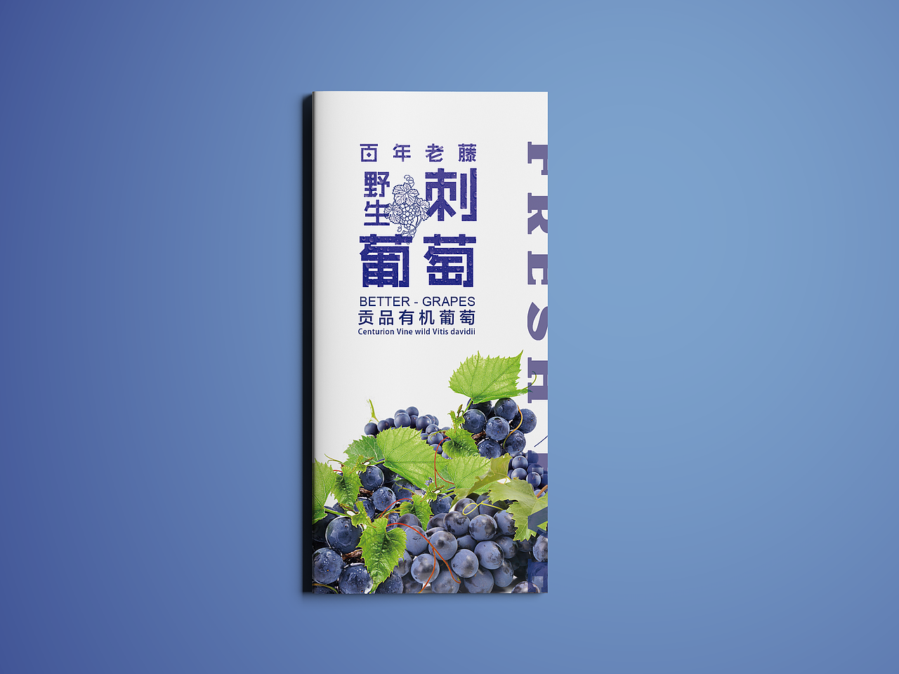 一款水果三折頁（圖ZMTA2MzQwNTcy） - 書籍/畫冊 - 站酷設計師小邊設計原創(chuàng)素材 - 站酷ZCOOL