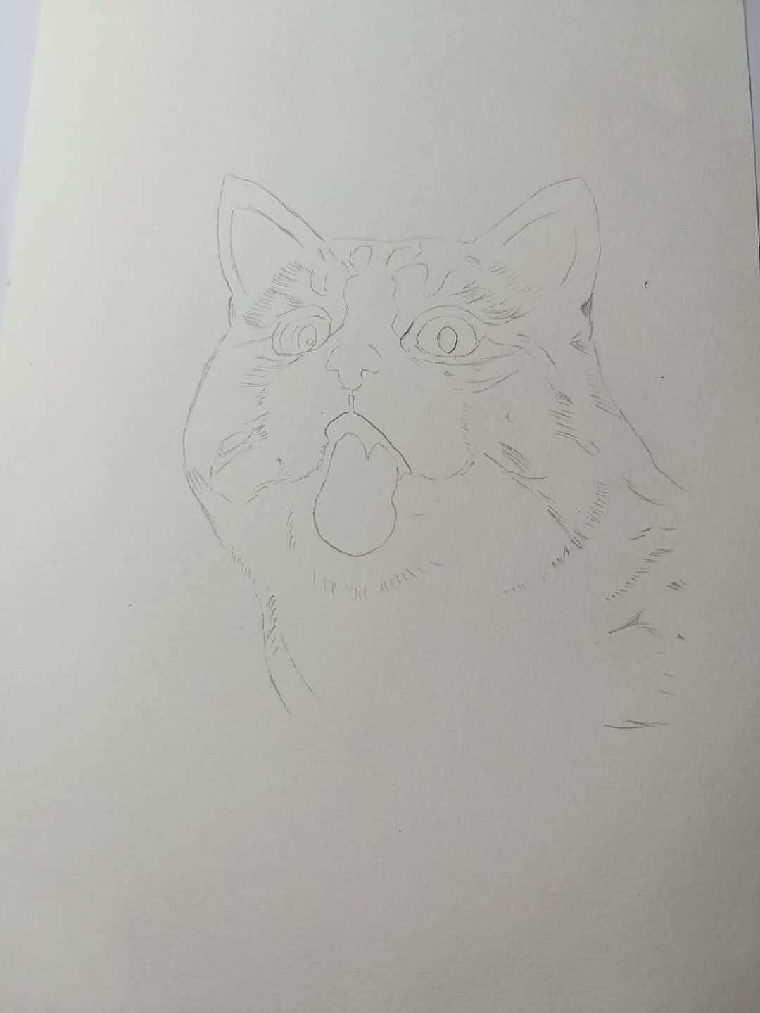 鬼臉貓（圖ZMjM4Njc4OTky） - 繪畫 - 站酷設(shè)計師可小萌kiko原創(chuàng)素材 - 站酷ZCOOL