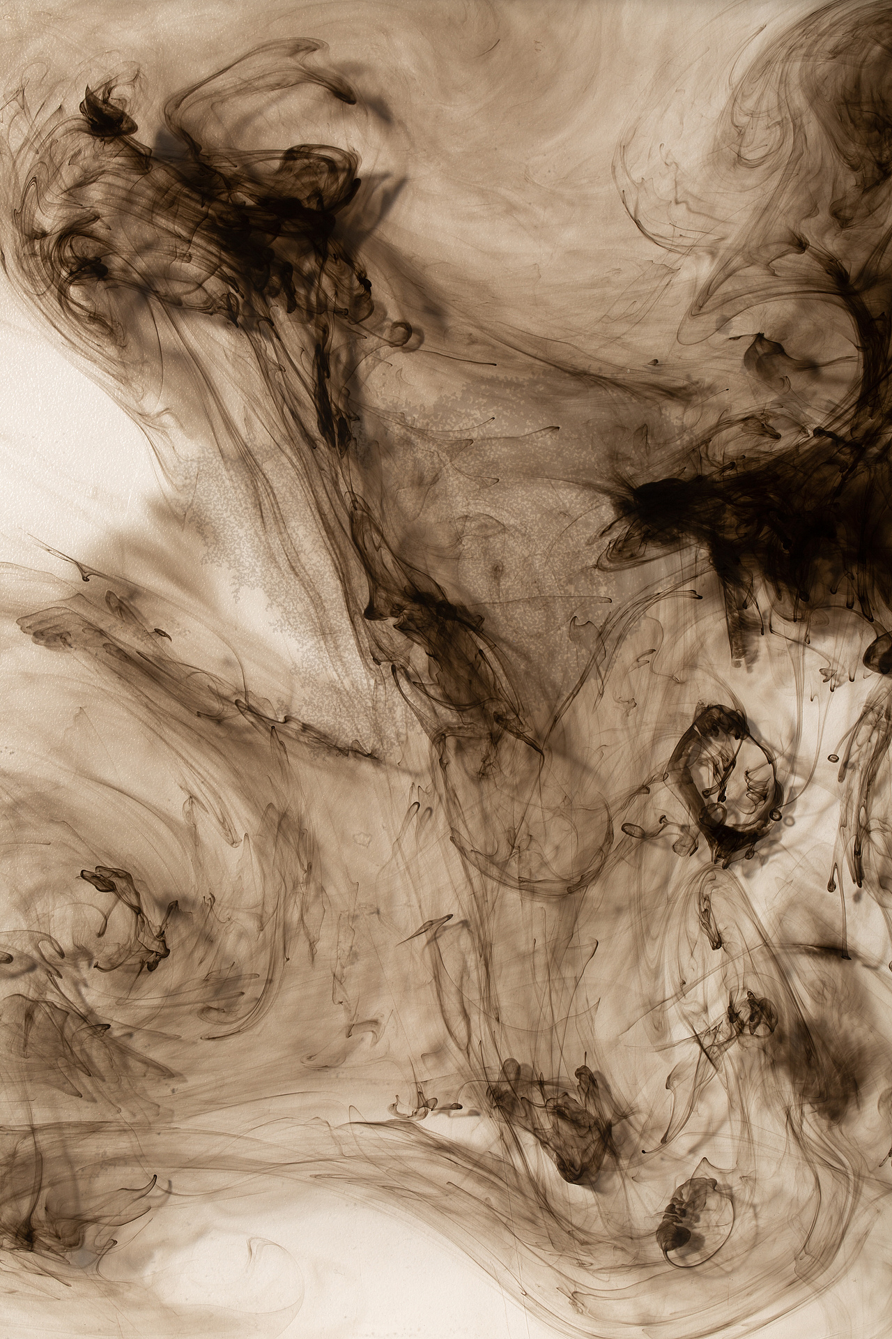 静物|美妆|产品|摄影