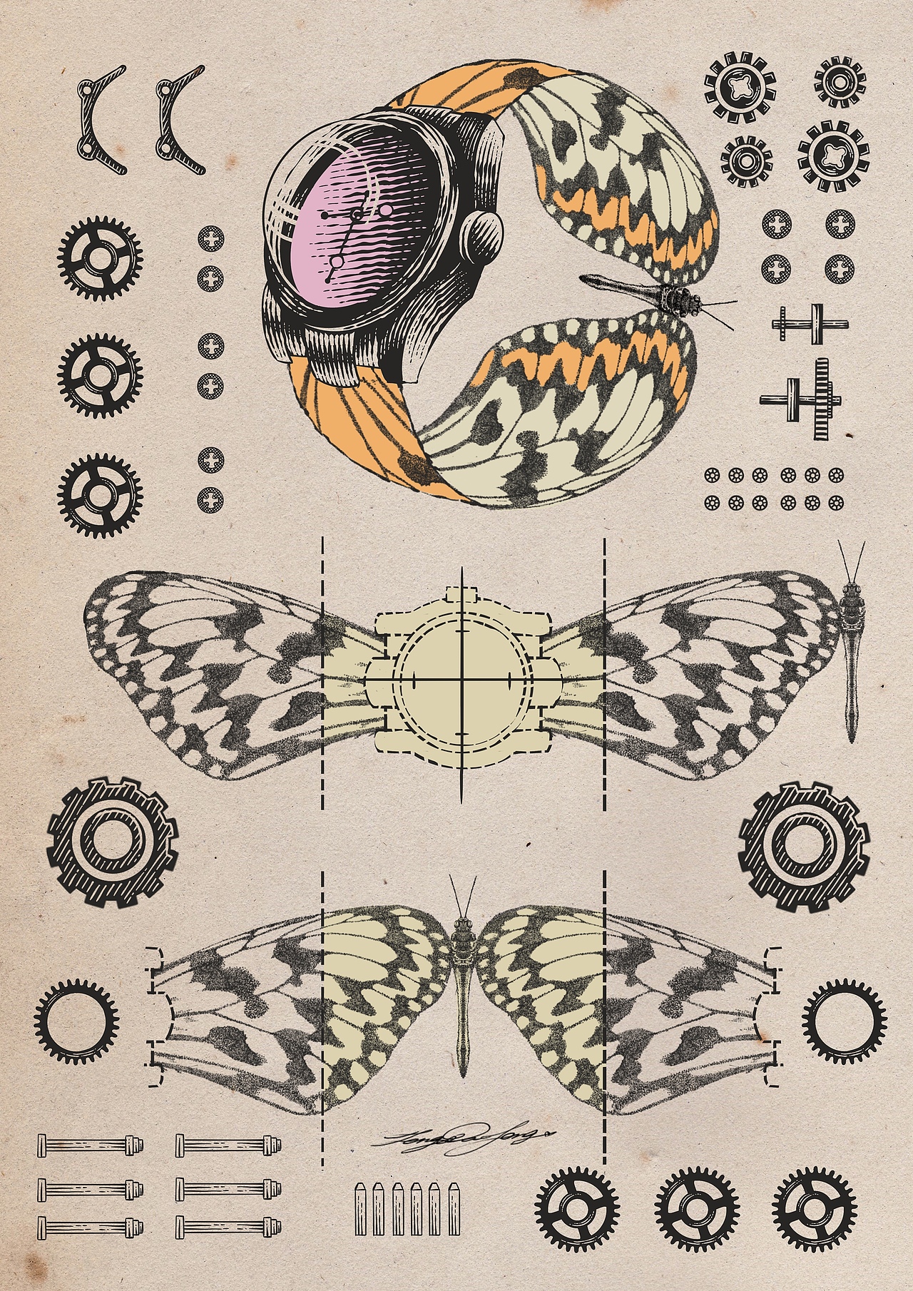 蝴蝶工业计划02