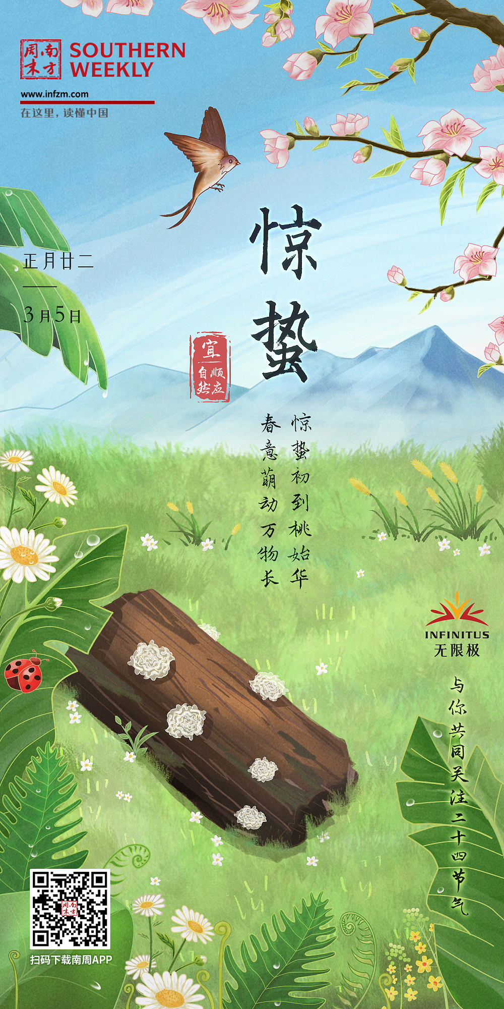 惊蛰 手绘 节气海报 24节气 银耳 木耳