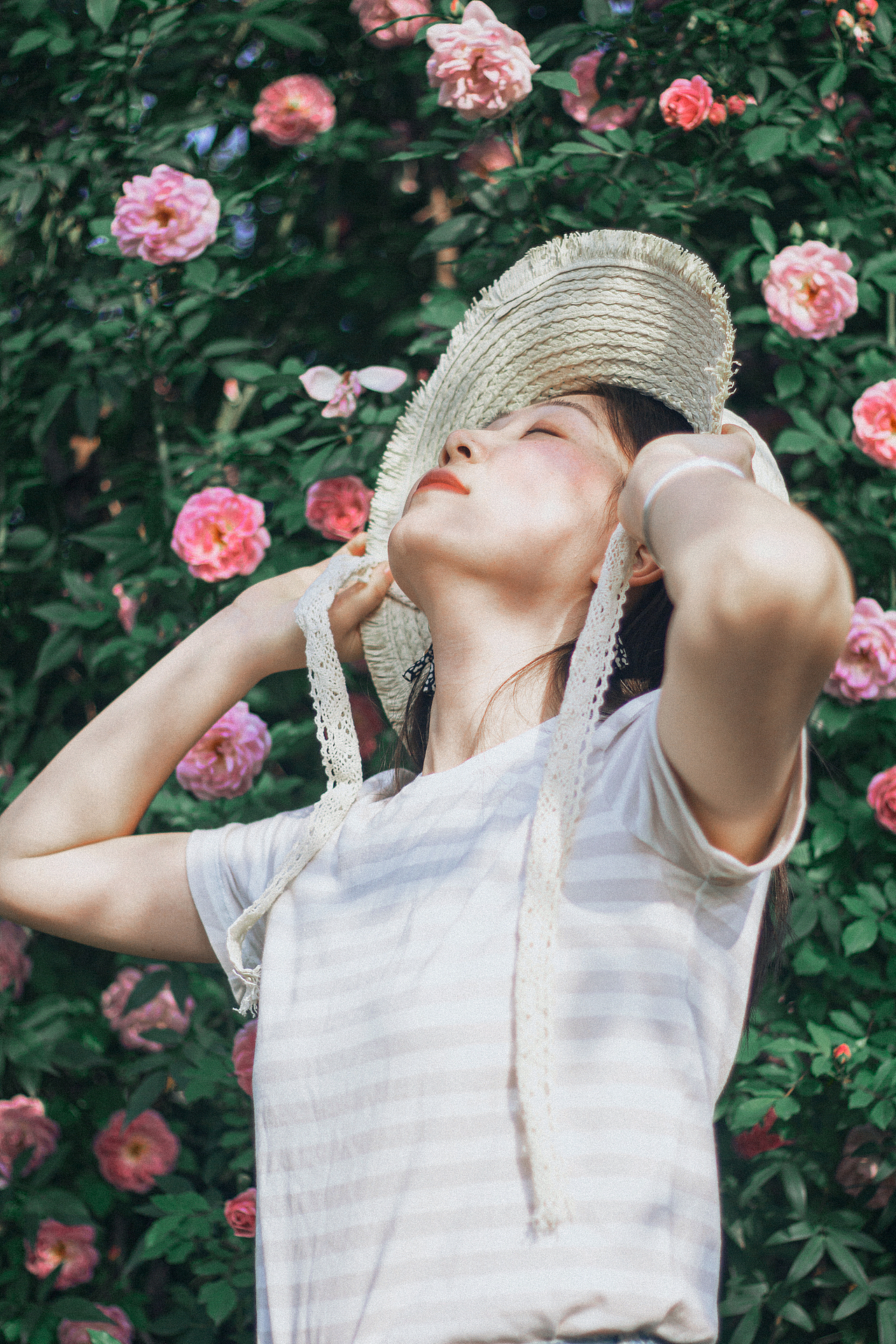 路边花墙的美丽情书