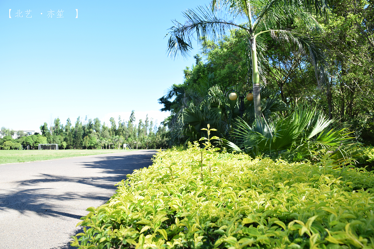 光和影（图ZMzI3NjY1NjA=） - 风光摄影 - 站酷设计师亦笙olol原创素材 - 站酷ZCOOL