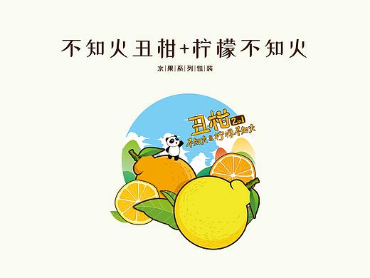 水果系列包装-丑柑