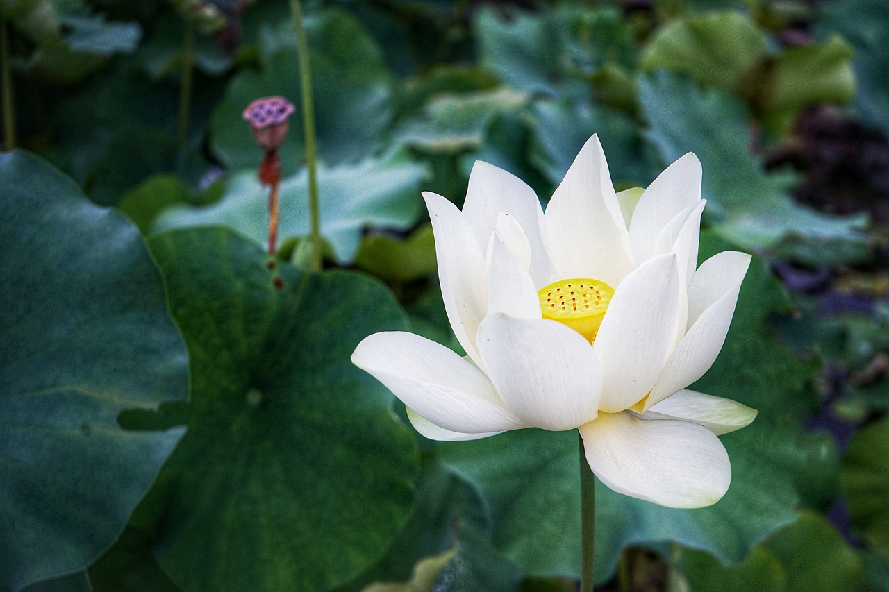 时光印记（图ZMTIxOTIwNDA4） - 人文/纪实摄影 - 站酷设计师阿悠设计事务所原创素材 - 站酷ZCOOL