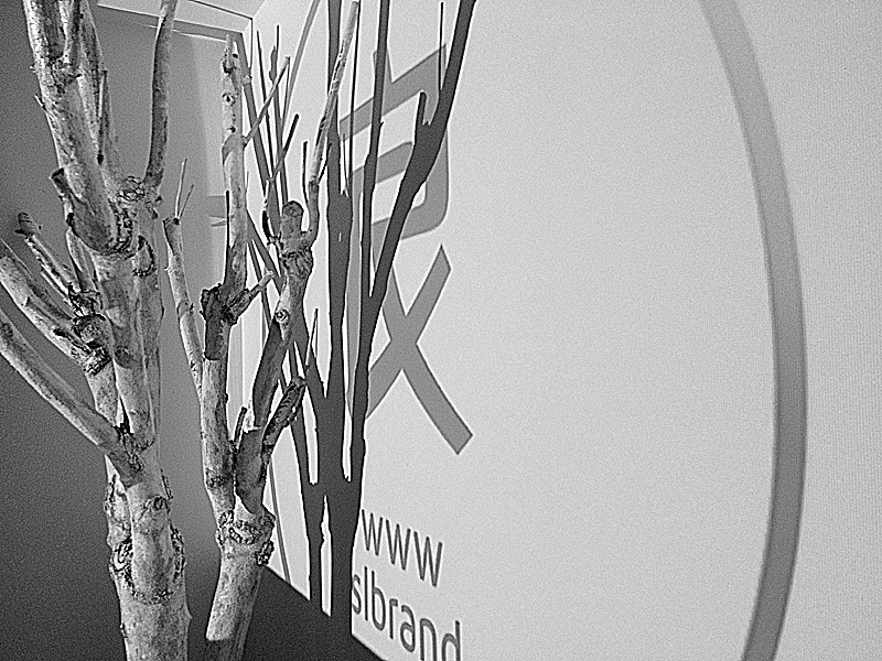 投影呈现 上良设计服务的品牌