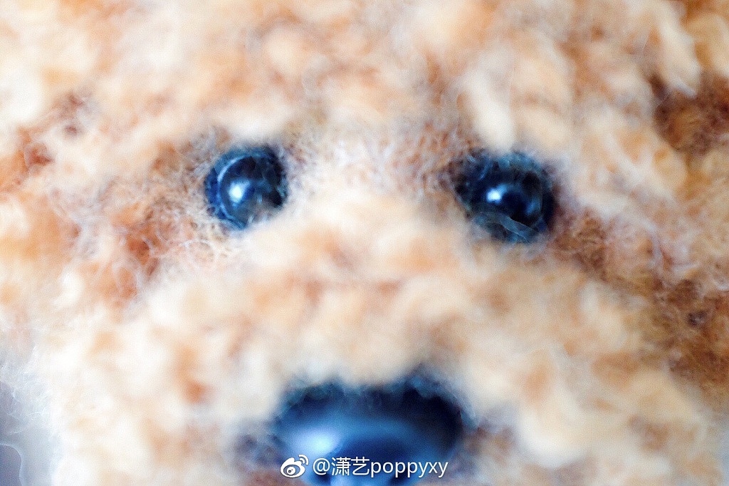 羊毛毡泰迪（图ZNzY1NjM5Mjg=） - 其他手工艺 - 站酷设计师猫饭catfan原创素材 - 站酷ZCOOL