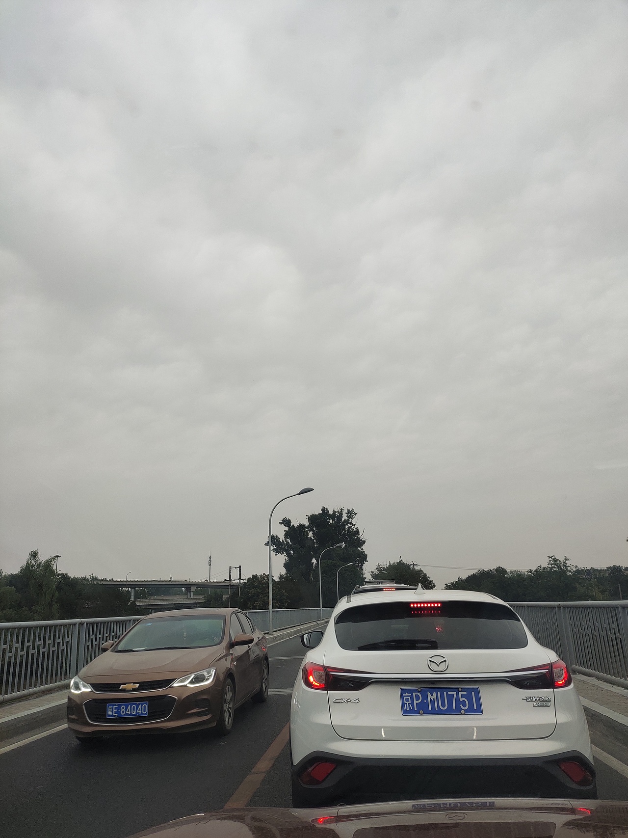 豪情壮志在我胸