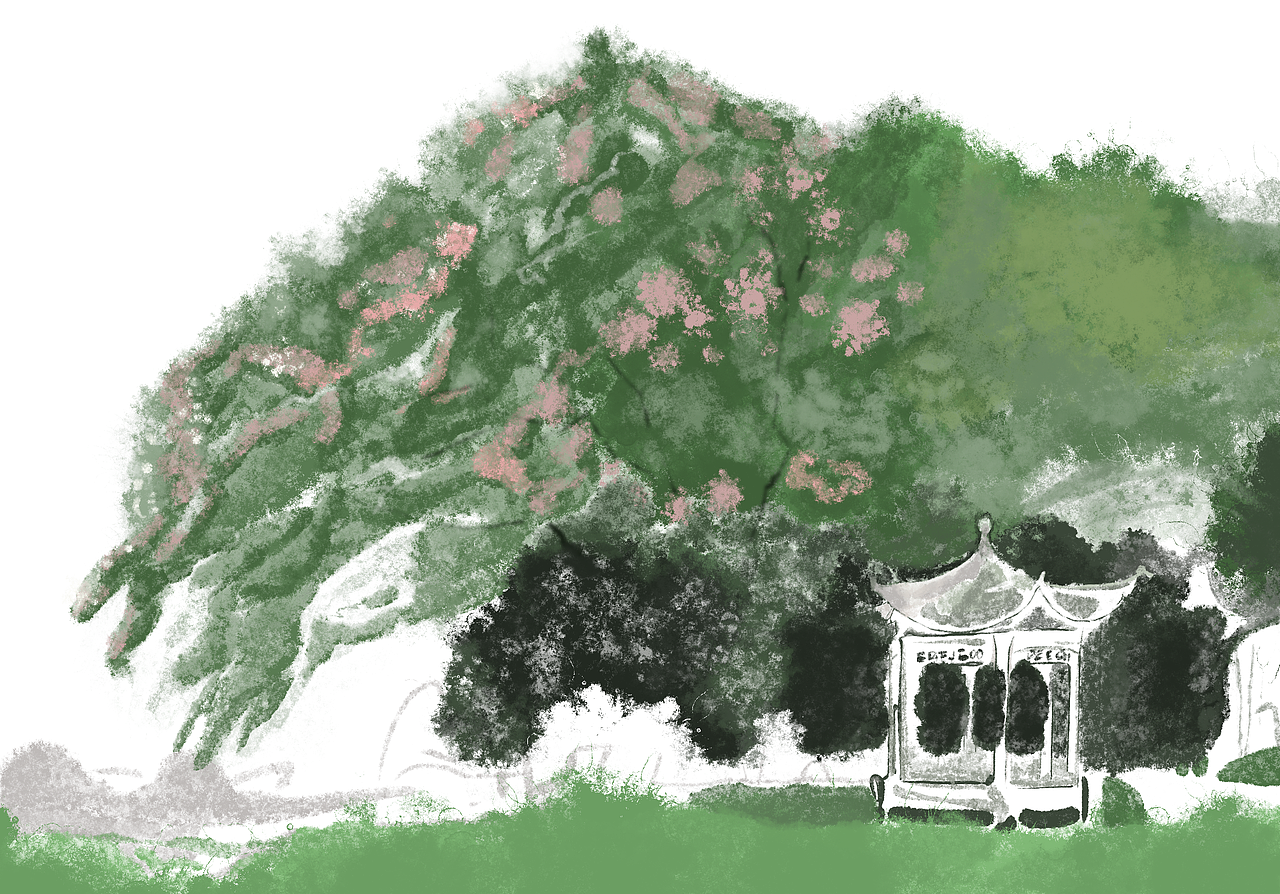 2022年—临摹插画 树