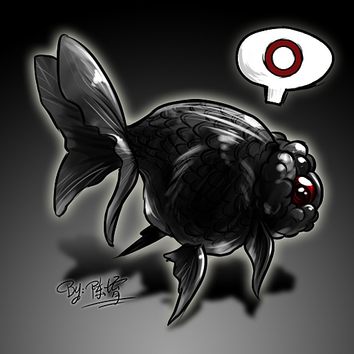 这才是对的小黑,兰寿品种,已经养得半多个巴掌大了.可惜了的说.