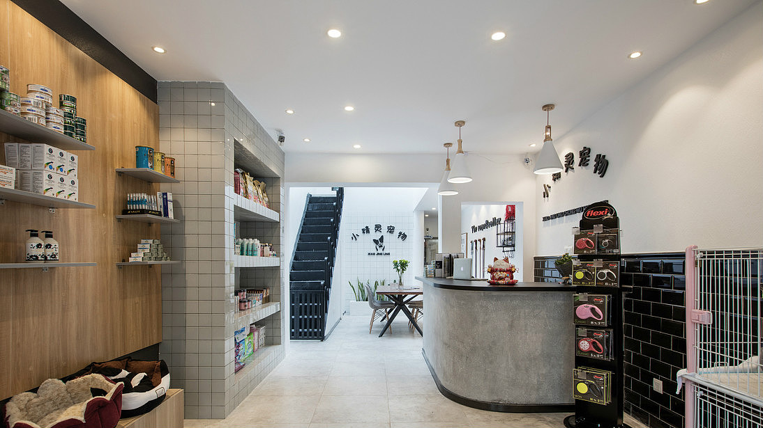 成都宠物店设计|成都宠物店装修设计|成都专业宠物店装修设计公司
