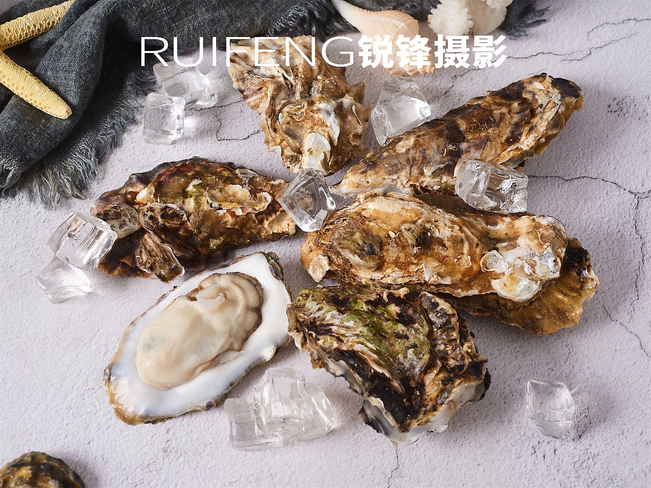 生蚝拍摄拍照|产品摄影|静物拍摄|RUIFENG锐锋摄影