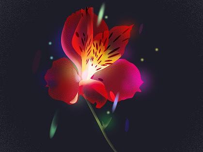 2018一些练习