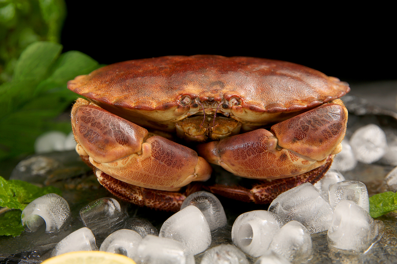 海鲜拍摄后期（图ZODkxNTAzODQ=） - 修图/后期 - 站酷设计师tj天际原创素材 - 站酷ZCOOL