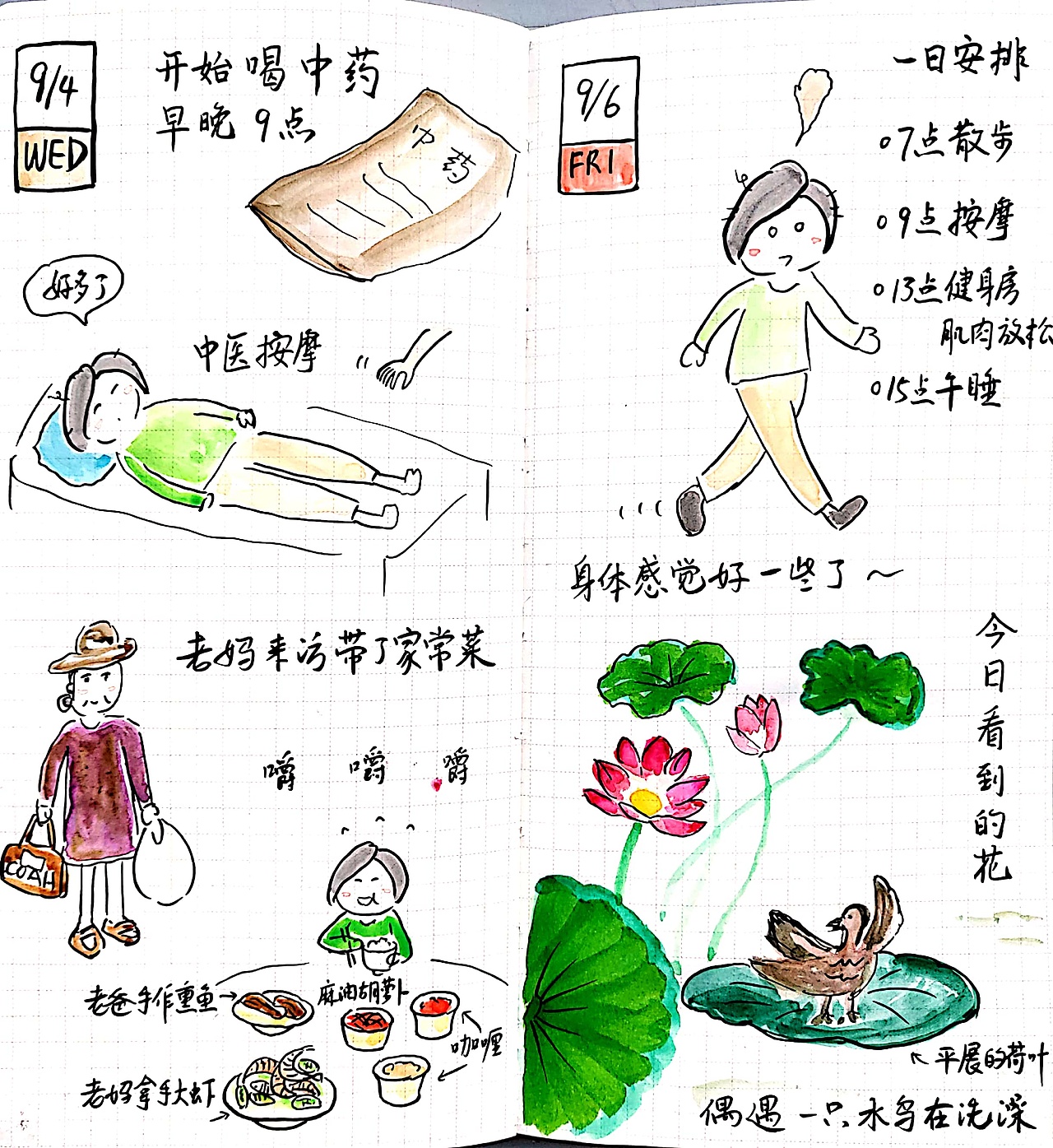春楠手账2019(一)