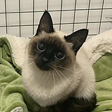 小鱼RUBY的头像