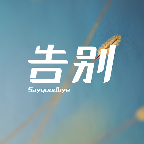 2013 字体设计初体验