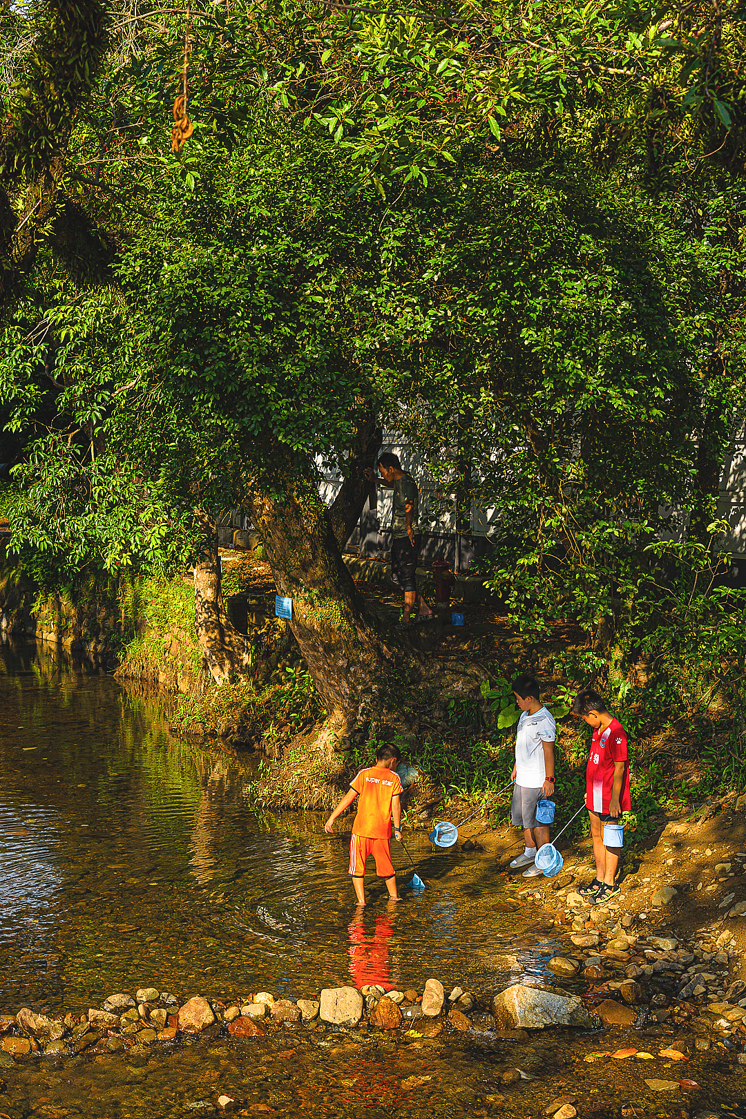 金龟村•回归山林的童话小镇