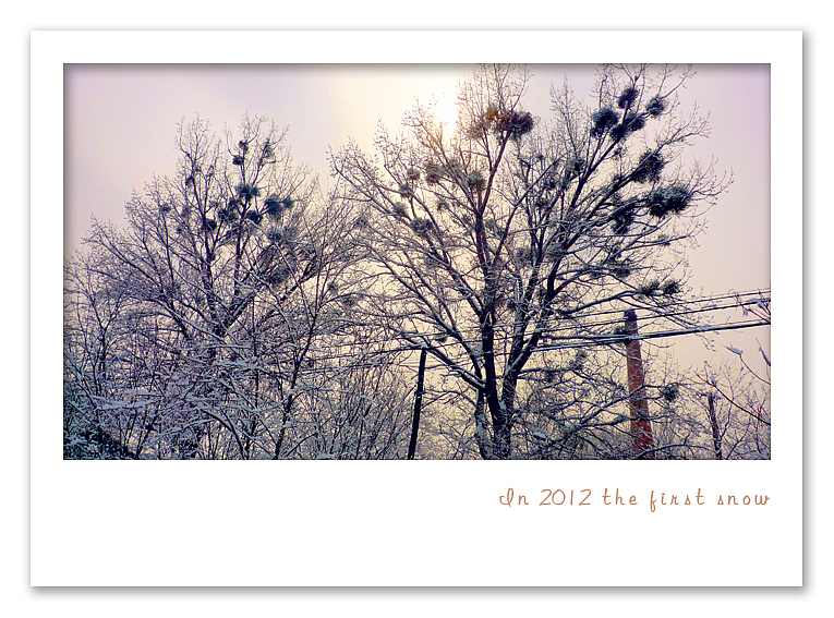 2012年的第一场雪（图ZNTE0Mjc1Mg==） - 风光摄影 - 站酷设计师谷德刚原创素材 - 站酷ZCOOL