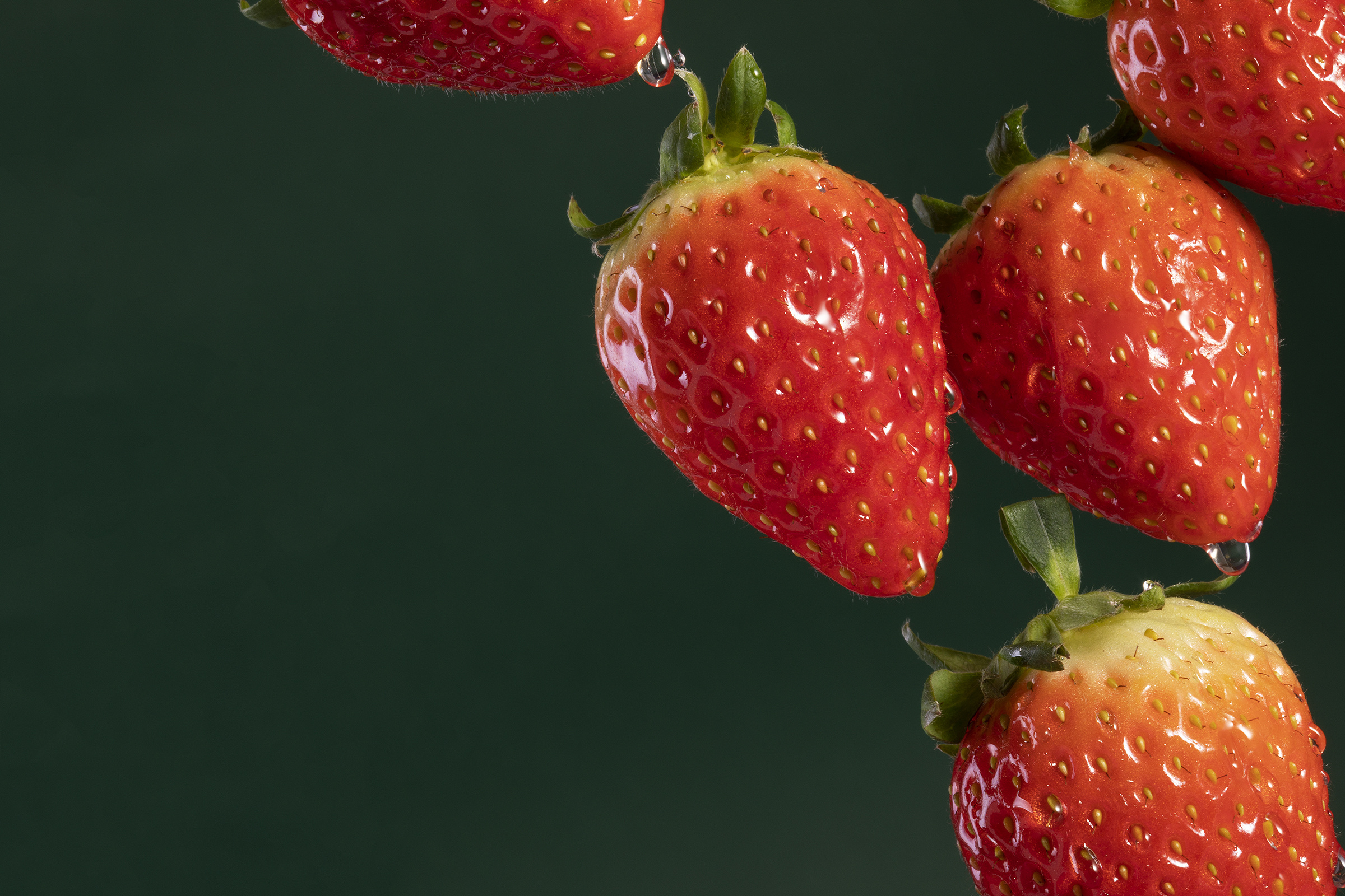 草莓|摄影|产品摄影|大漠秋风 - 原创作品 - 站酷 (zcool)