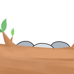 考拉来了🐨表情包