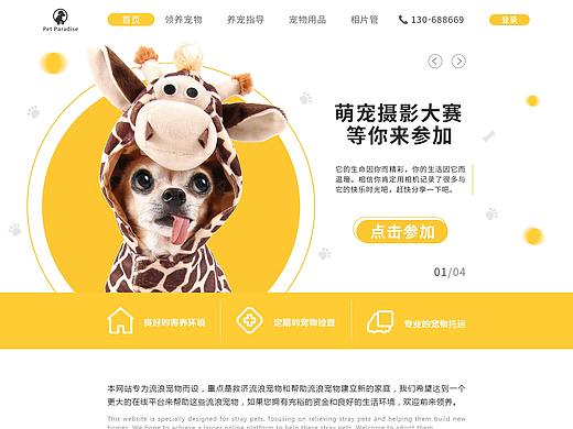宠物网页