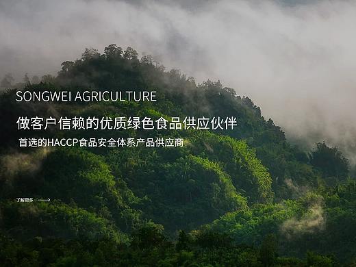 2018-2019企业网站