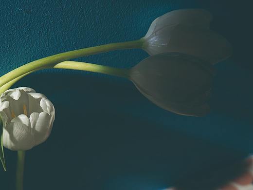 創(chuàng)作（個人主頁-ZMTk3MDI4NzY=） - 人像攝影 - 站酷設(shè)計師張濤design原創(chuàng)素材 - 站酷ZCOOL