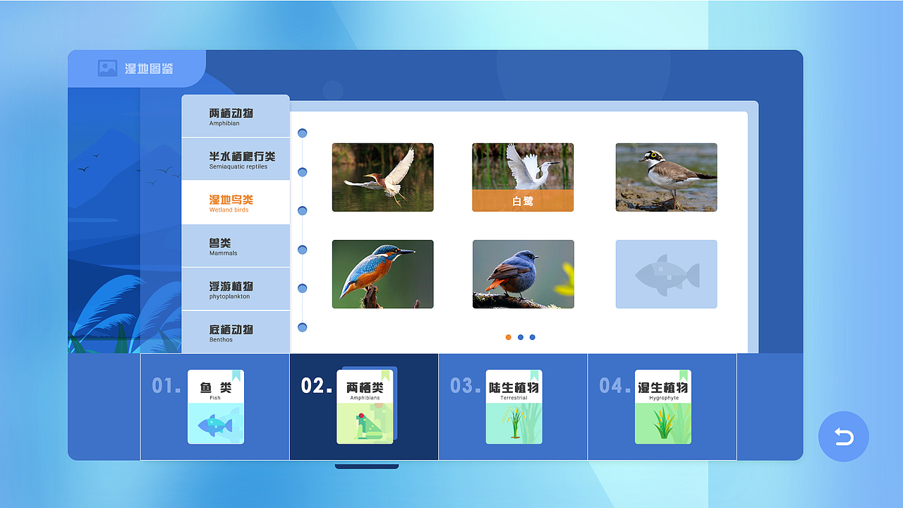 多媒体UI界面-湿地知识&湿地图鉴少年科普馆