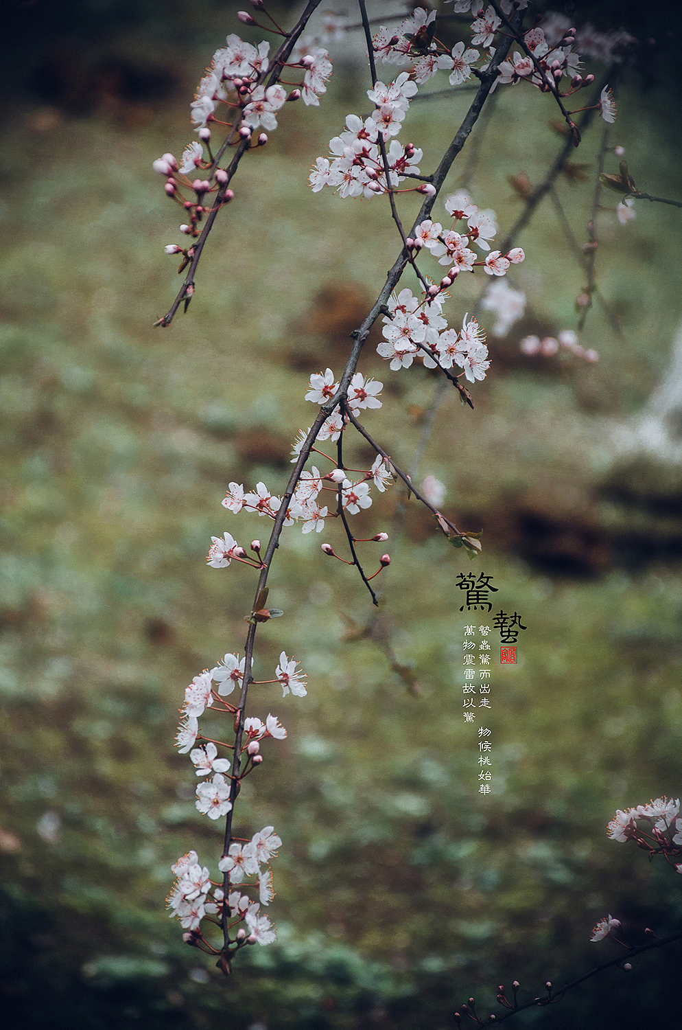 惊蛰（图ZOTYyMTIwMjg=） - 人像摄影 - 站酷设计师空谷客原创素材 - 站酷ZCOOL