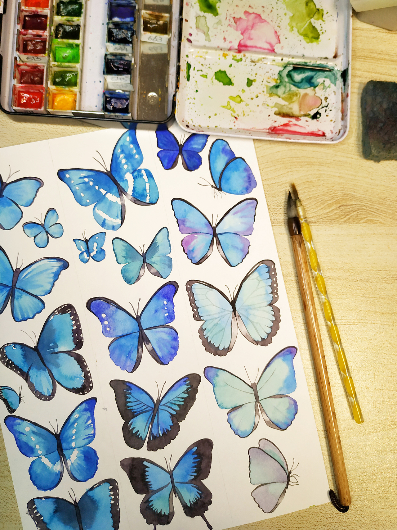 水彩南美大闪蝶|插画|商业插画|teresawanwan - 原创作品 - 站酷