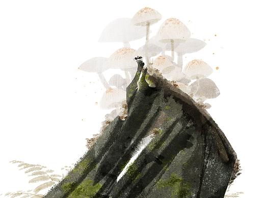 涂涂