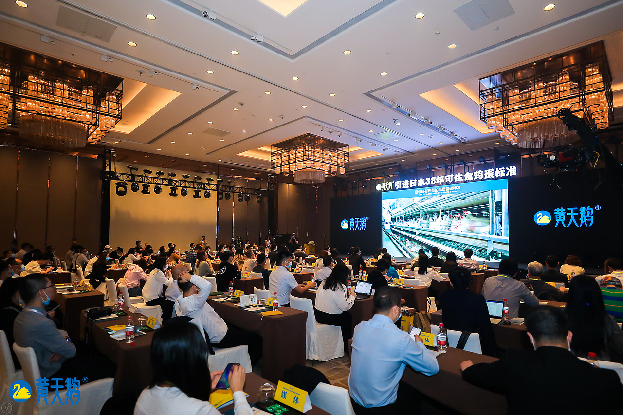 黃天鵝產(chǎn)品圖欣賞（圖ZMjEwMzIyNjA0） - 其他 - 站酷設(shè)計師fangxiaoxin745原創(chuàng)素材 - 站酷ZCOOL