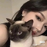 奔伯尔的头像